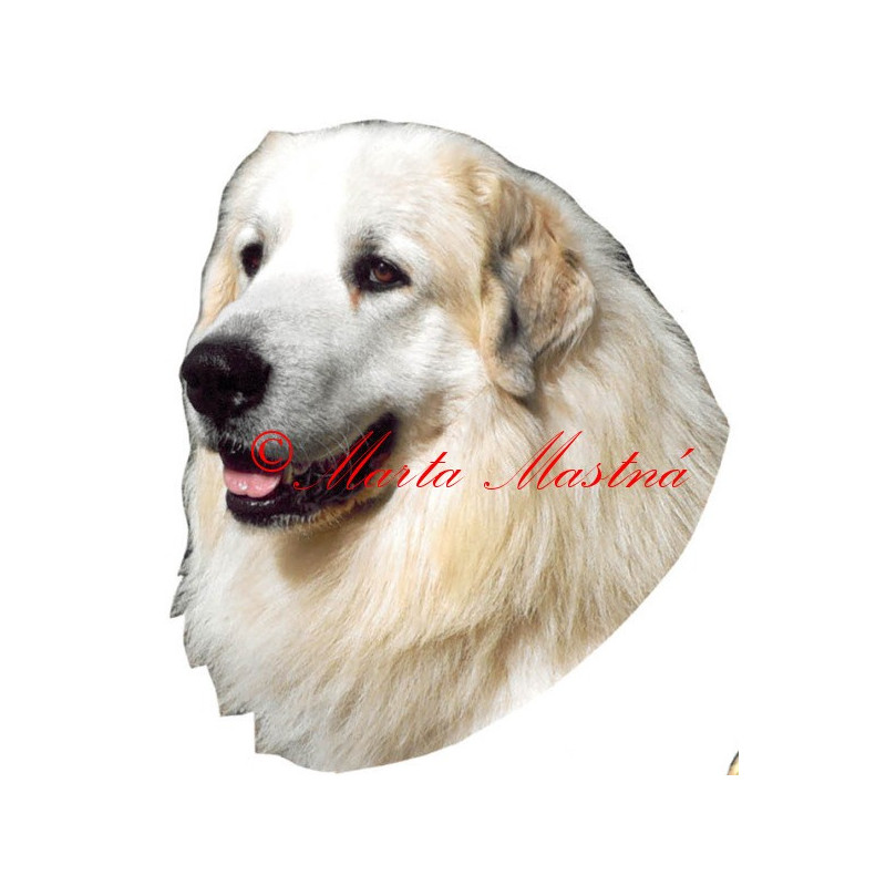 Samolepka pyrenejský horský pes