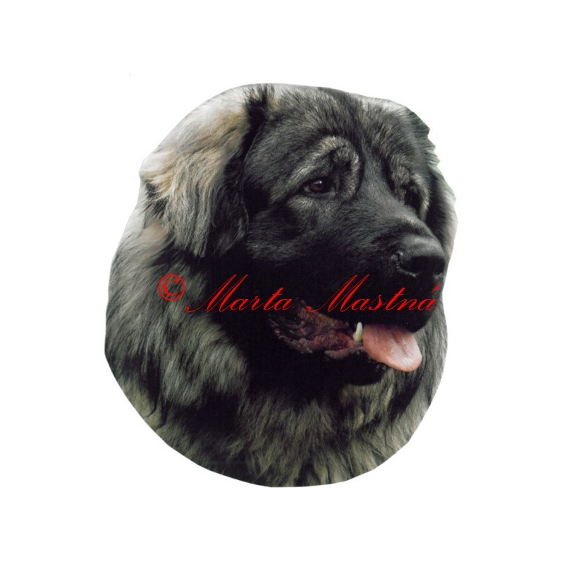 Samolepka šarplaninec, kavkazský