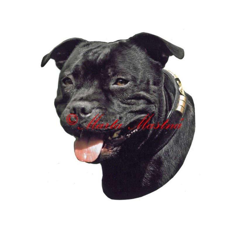 Samolepka stafordšírský bulteriér