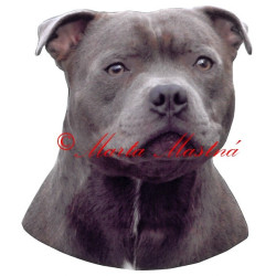 Samolepka stafordšírský bulteriér