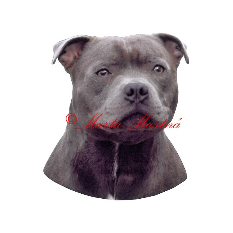 Samolepka stafordšírský bulteriér