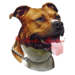 Samolepka stafordšírský teriér