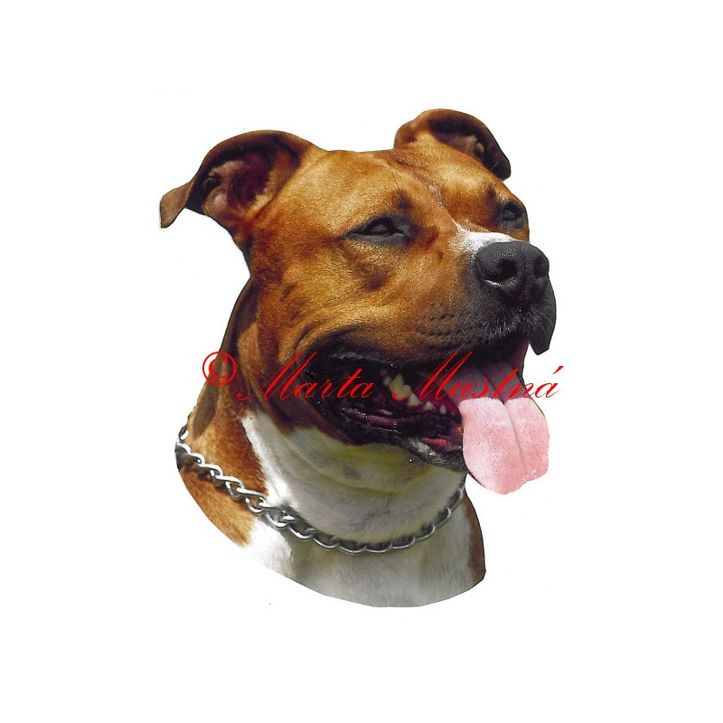 Samolepka stafordšírský teriér