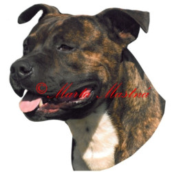 Samolepka stafordšírský teriér