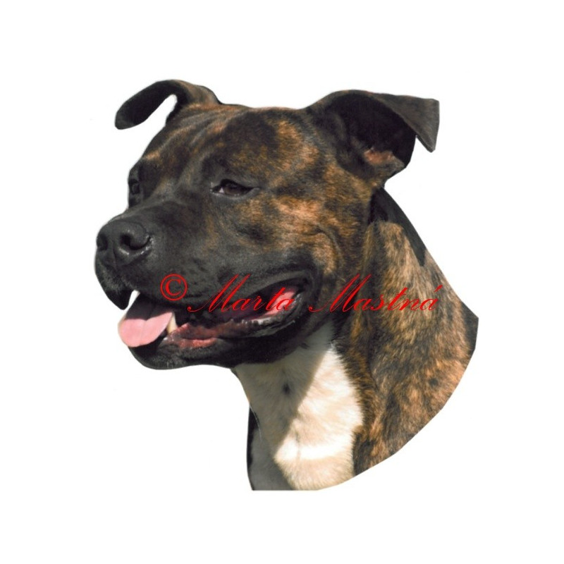 Samolepka stafordšírský teriér