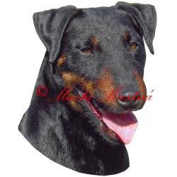 Samolepka jagdteriér