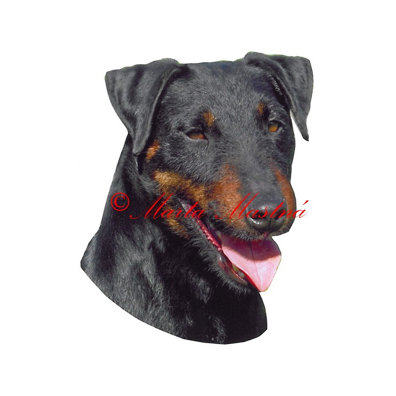 Samolepka jagdteriér