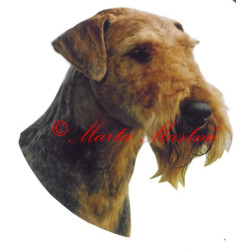 Samolepka erdelteriér