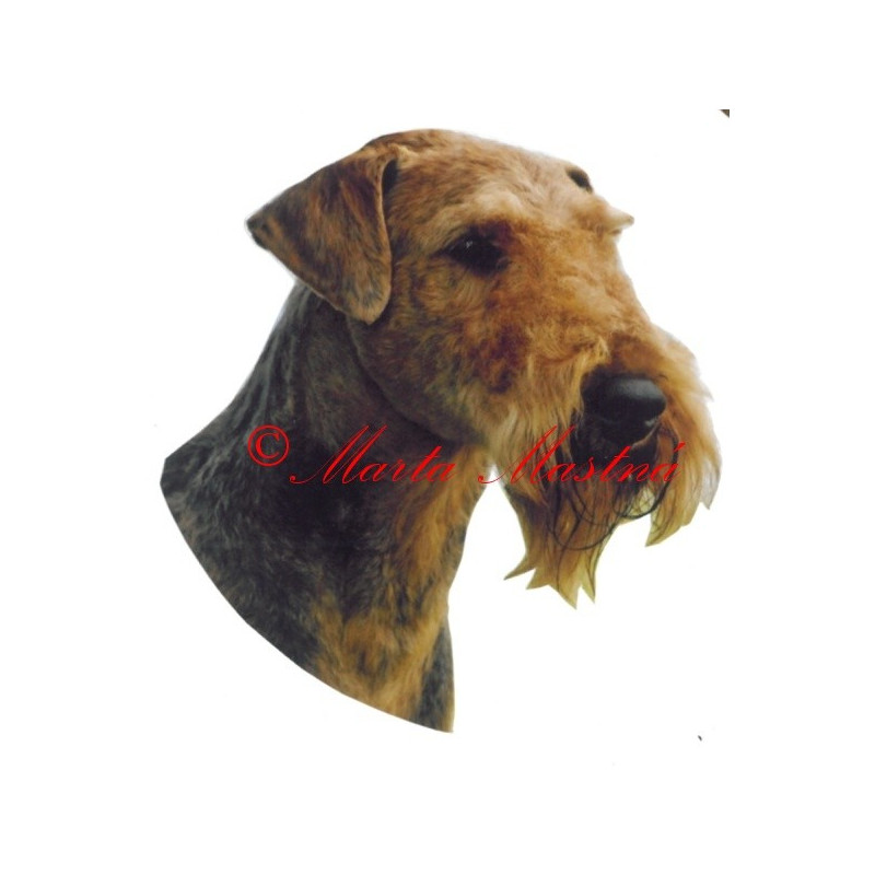 Samolepka erdelteriér