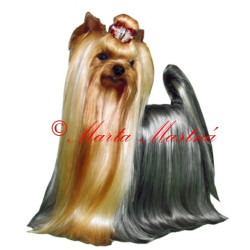 Samolepka jorkšír teriér