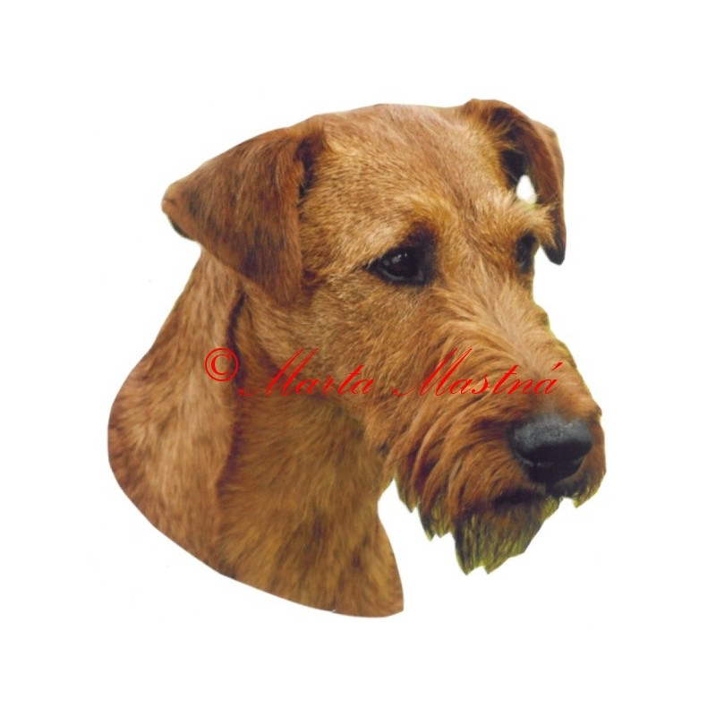 Samolepka jirský teriér