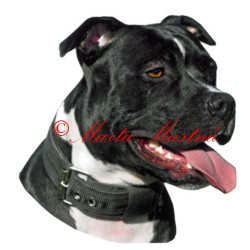 Samolepka pitbul, staford