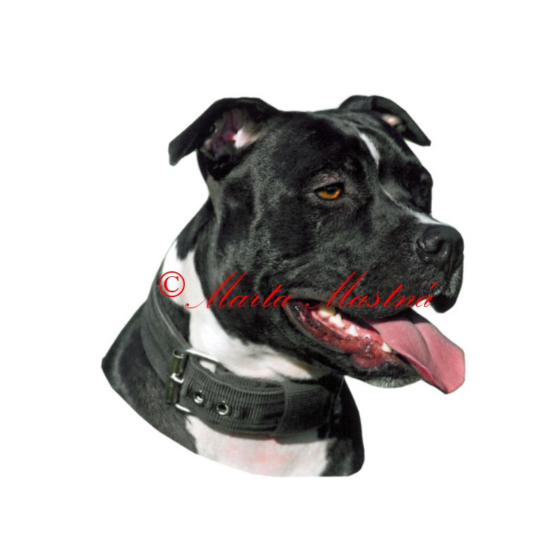 Samolepka pitbul, staford