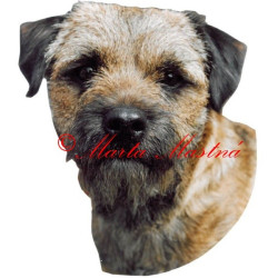 Samolepka border teriér