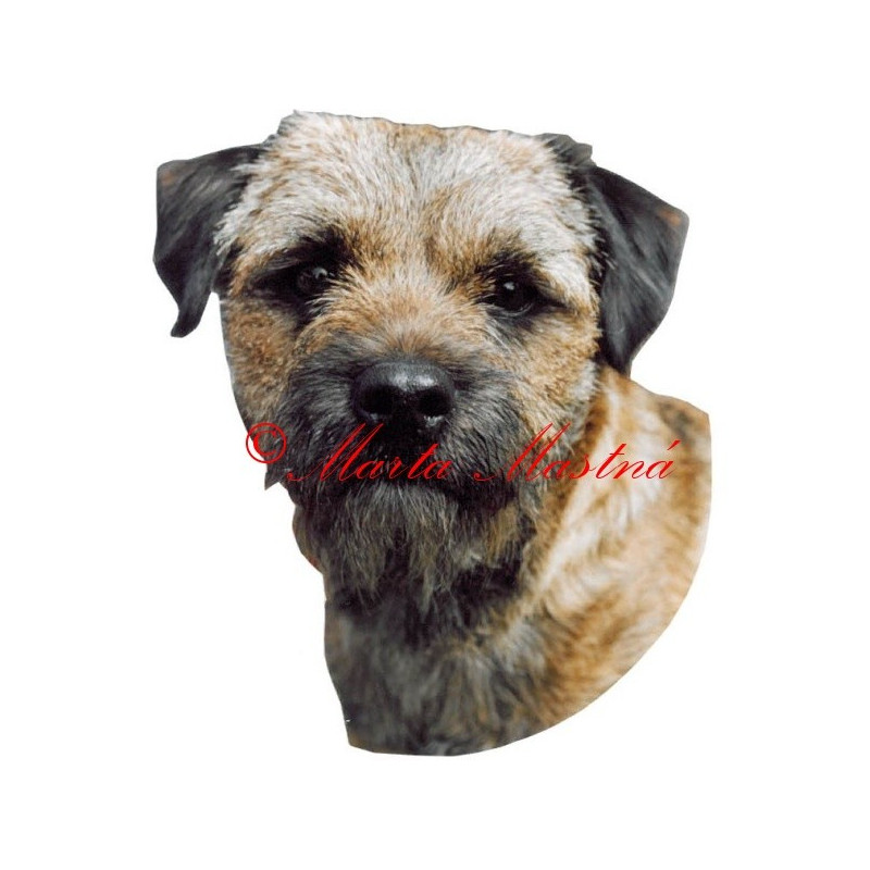 Samolepka border teriér