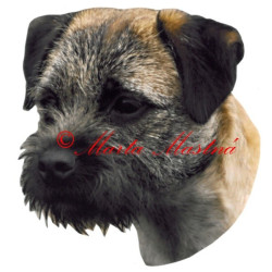 Samolepka border teriér