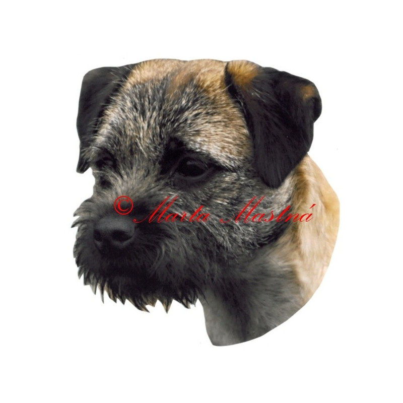 Samolepka border teriér