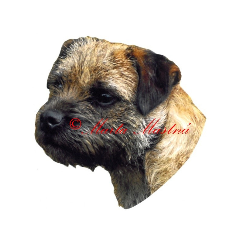 Samolepka border teriér