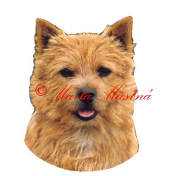 Samolepka norvič teriér