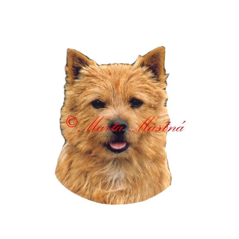 Samolepka norvič teriér