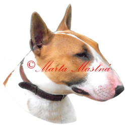 Samolepka bulteriér