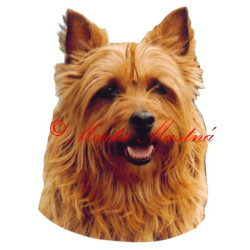 Samolepka australský teriér