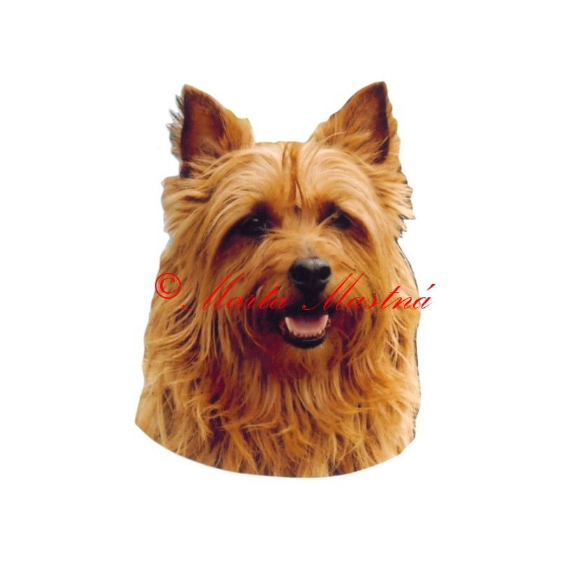 Samolepka australský teriér