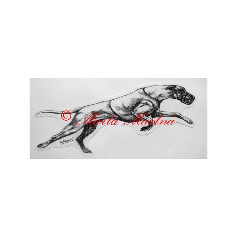 Greyhound, vipet