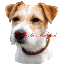 Samolepka Parson Russel, Jack Russel teriér
