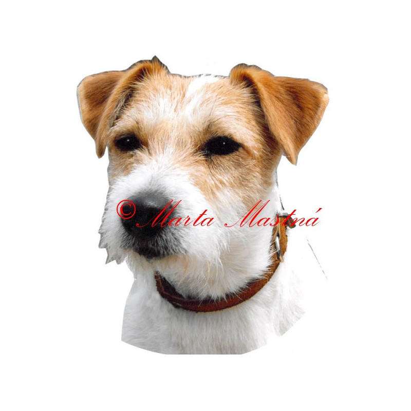 Samolepka Parson Russel, Jack Russel teriér