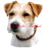 Samolepka Parson Russel, Jack Russel teriér