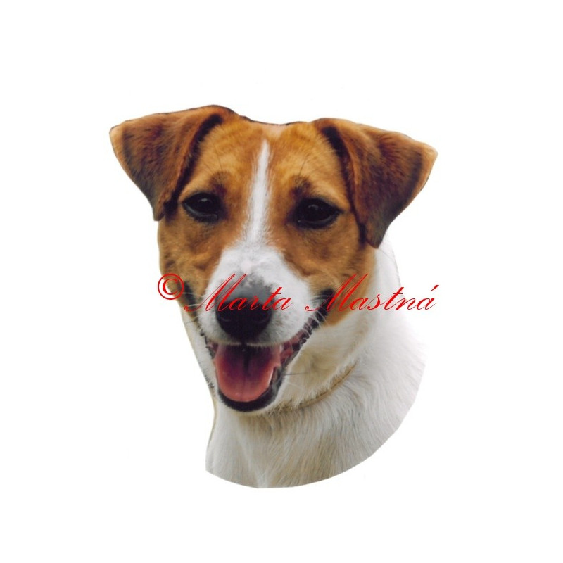 Samolepka Parson Russel, Jack Russel teriér