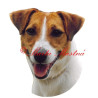 Samolepka Parson Russel, Jack Russel teriér