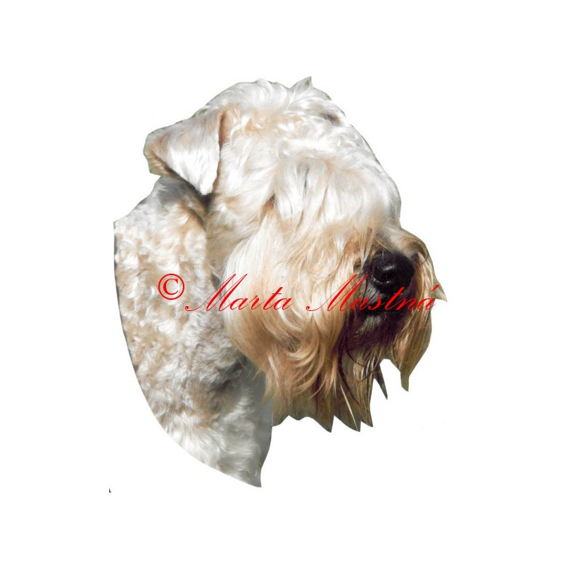 Samolepka pšeničný teriér, soft coated wheaten terier