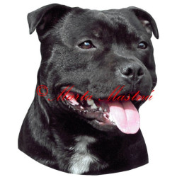 Samolepka stafordšírský bulteriér