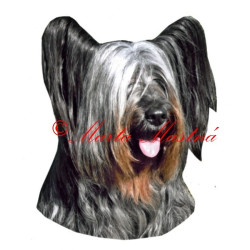 Samolepka skajteriér, skye teriér