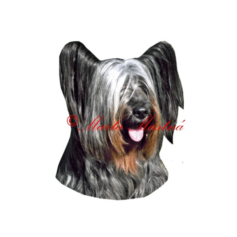 Samolepka skajteriér, skye teriér