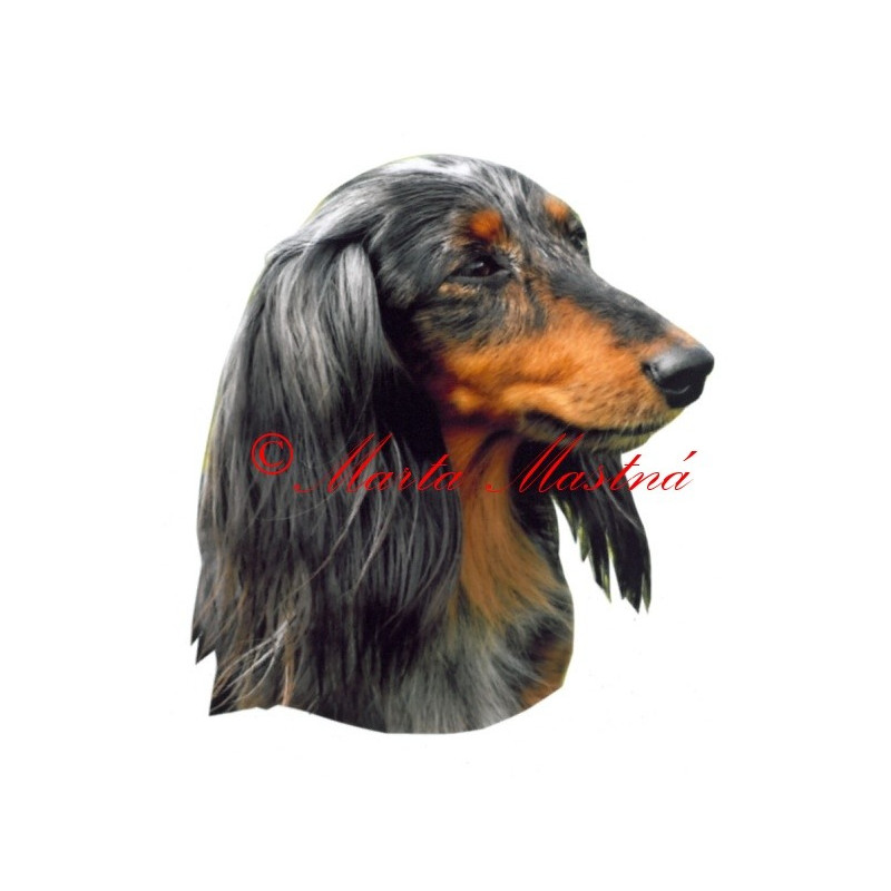 Samolepka jezevčík harlekýn