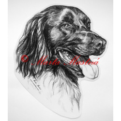 Münsterlandský ohař