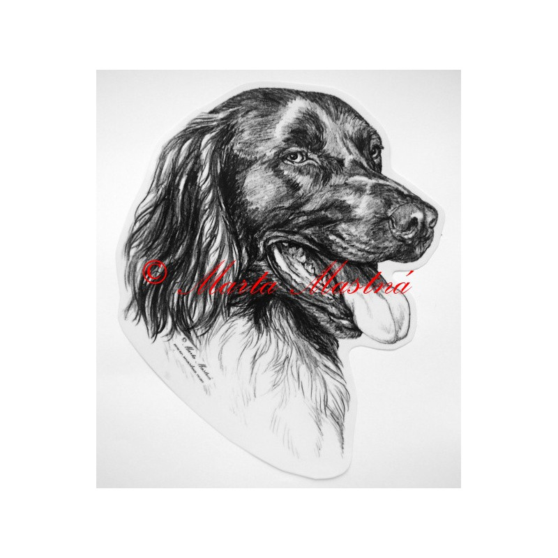 Münsterlandský ohař