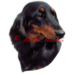 Samolepka jezevčík