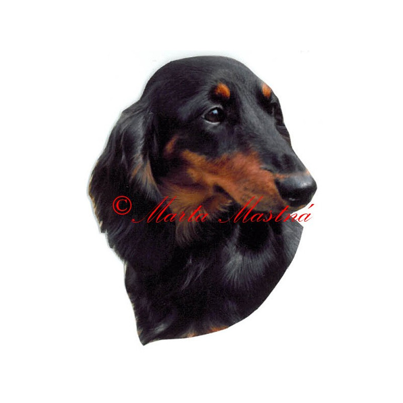 Samolepka jezevčík