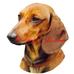 Samolepka jezevčík