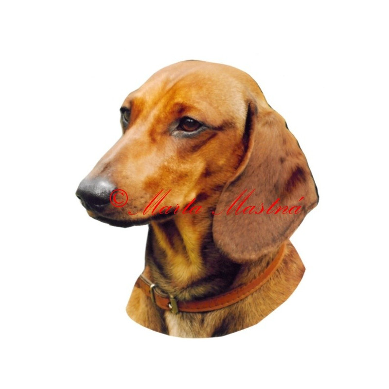 Samolepka jezevčík