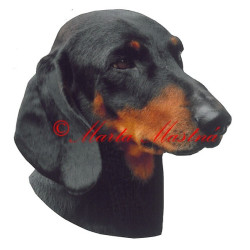 Samolepka jezevčík