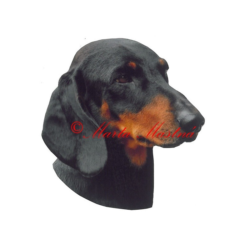 Samolepka jezevčík