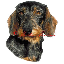 Samolepka jezevčík