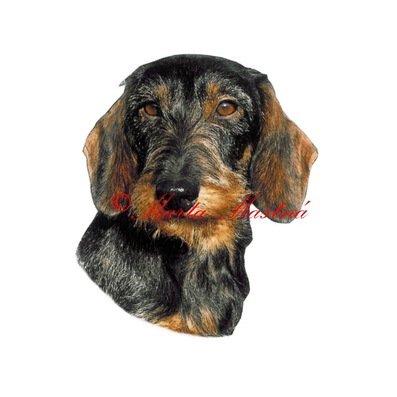 Samolepka jezevčík