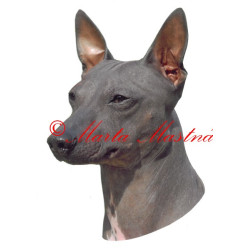 Samolepka americký bezsrstý teriér