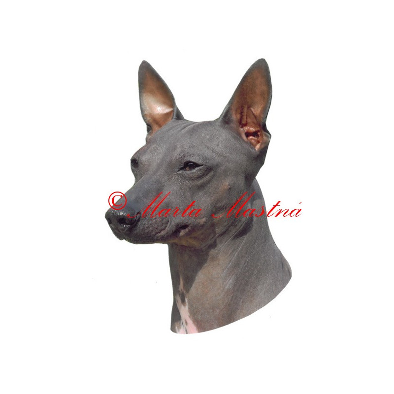 Samolepka americký bezsrstý teriér